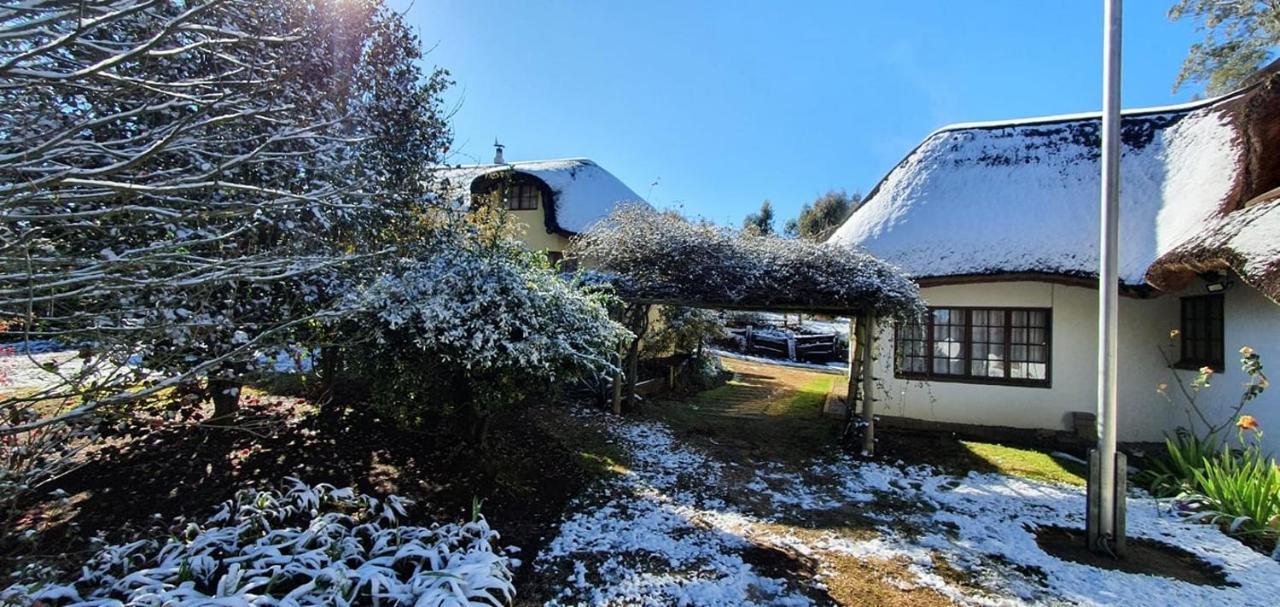 Little Milton, 10 Patrick Guildbridge Road Off The R103 Rosetta Bed and Breakfast Nottingham Road Εξωτερικό φωτογραφία