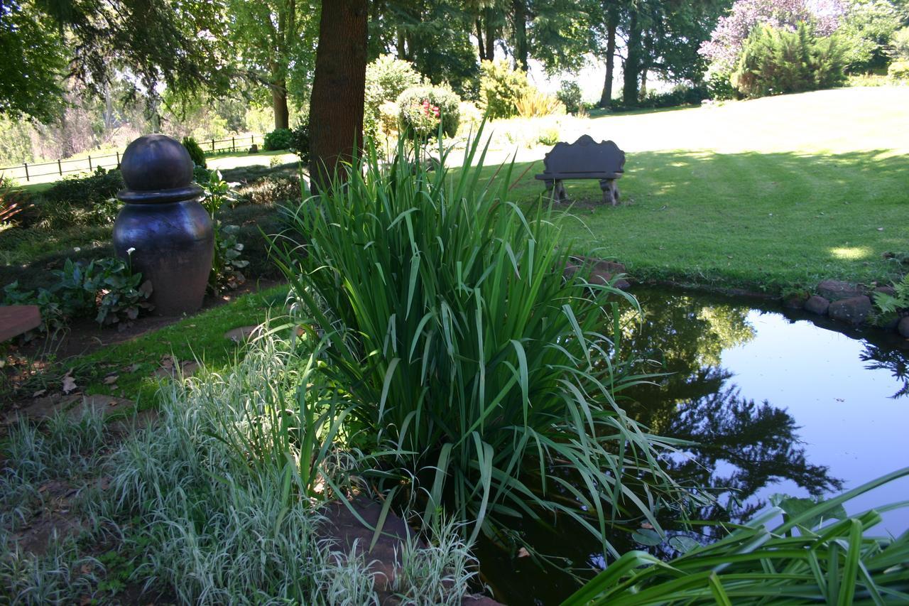 Little Milton, 10 Patrick Guildbridge Road Off The R103 Rosetta Bed and Breakfast Nottingham Road Εξωτερικό φωτογραφία